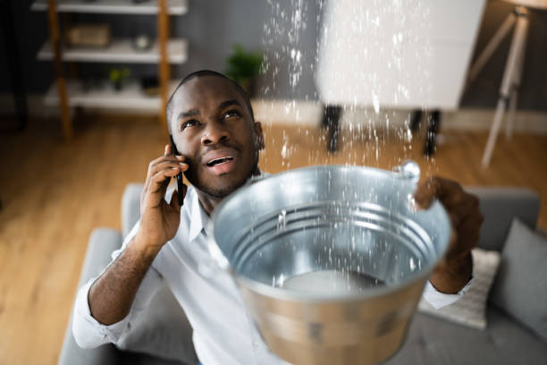 Best Carpet water damage restoration  in Mcchord Af, WA