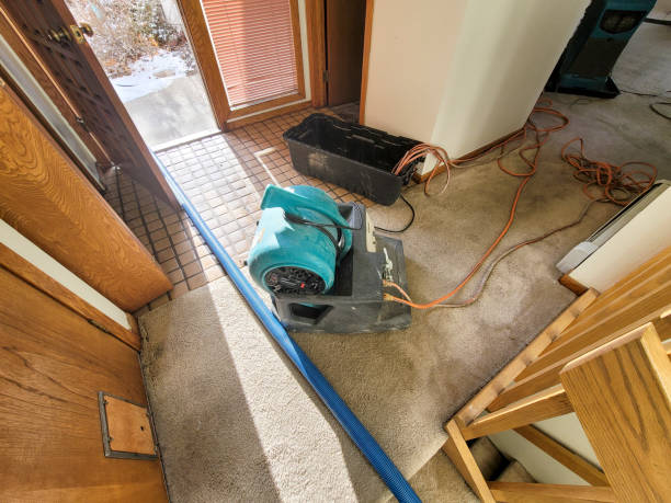 Best Water damage contractors near me  in Mcchord Af, WA