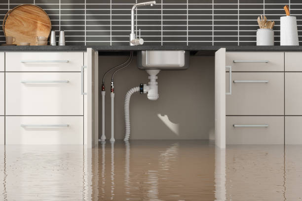 Best Water damage restoration services  in Mcchord Af, WA
