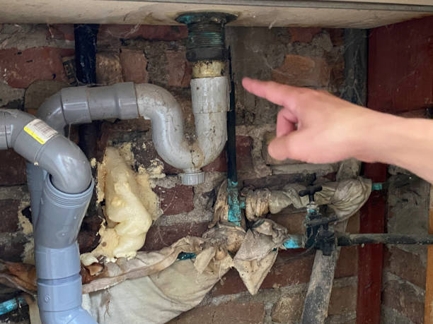 Best Sewage cleanup and water damage restoration  in Mcchord Af, WA
