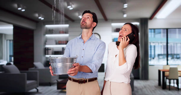 Best Sewage cleanup and water damage restoration  in Mcchord Af, WA